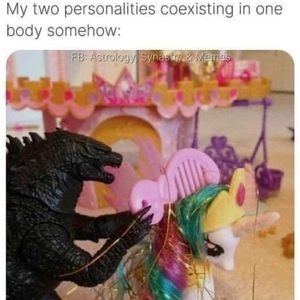 Meet your Posher: Barbiepunk